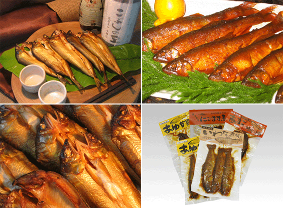 郡上鮎