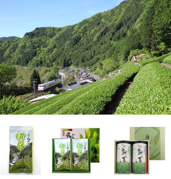白川茶