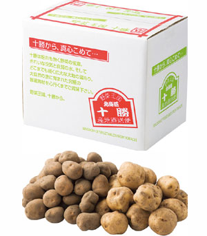 新じゃが300