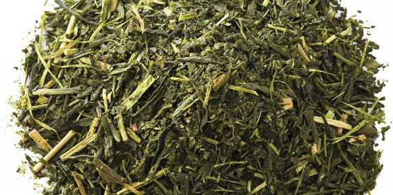 静岡茶トップ