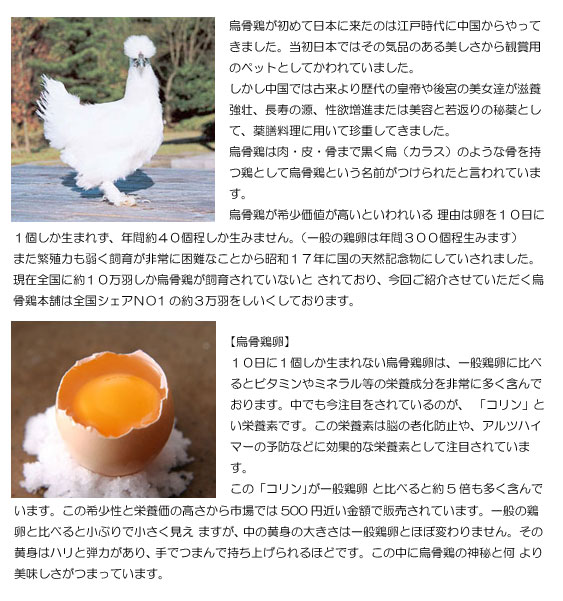 鳥骨鶏とは